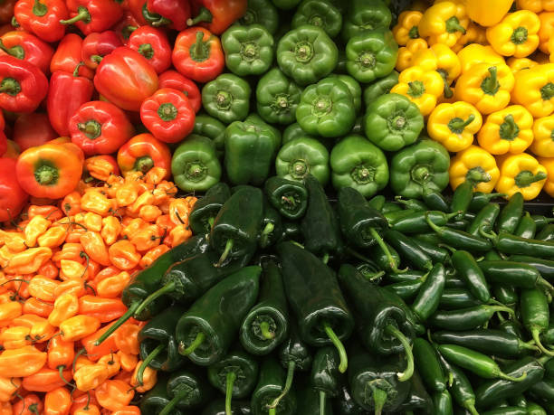 Colorful pepper array Beautiful choice of a variety of fresh sweet and hot organic peppers. anaheim pepper photos stock pictures, royalty-free photos & images