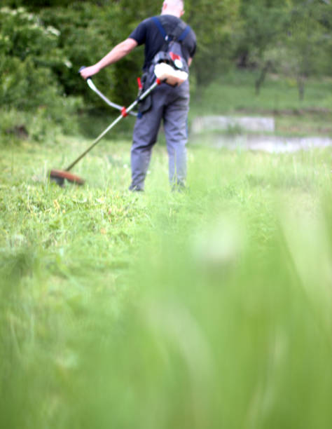 istock Close up of Grass brush cutter 667091270