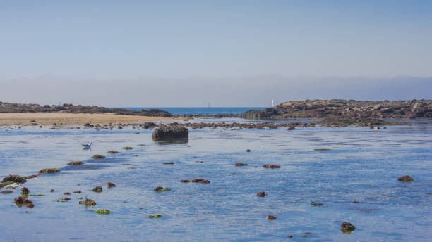 lorient, larmor plage, strand - ebb tide stock-fotos und bilder