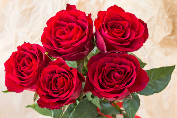 istock Bouquet of Red Roses 667102862
