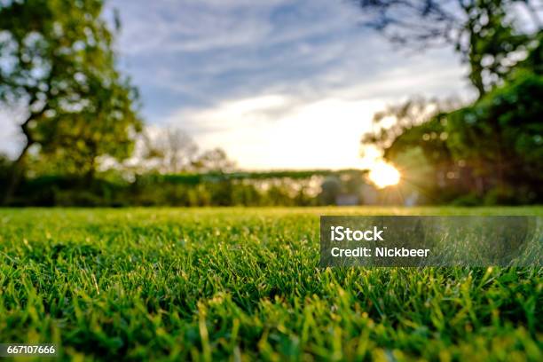 Foto de Majestoso Pôr Do Sol Visto No Final Da Primavera Mostrando Um Grande Gramado Recentemente Cortado E Bem Conservado Em Um Local Rural e mais fotos de stock de Jardim particular