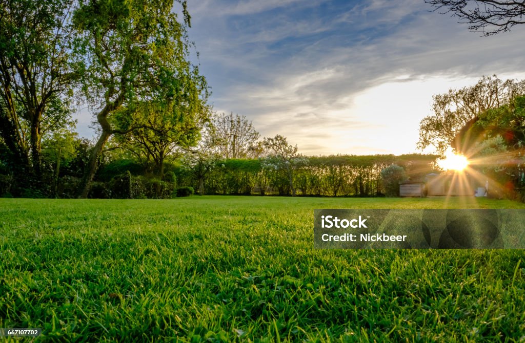 Majestueux coucher de soleil vu en fin de printemps, montrant une grande pelouse récemment coupée et bien entretenue dans un endroit rural. - Photo de Jardin de la maison libre de droits
