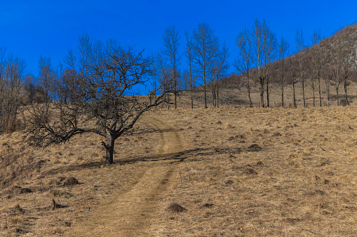 Trascau Mountains, Romania, Easter Europe