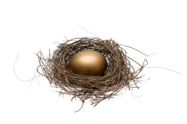 istock Golden egg inside a nest isolated on white background. 667114340