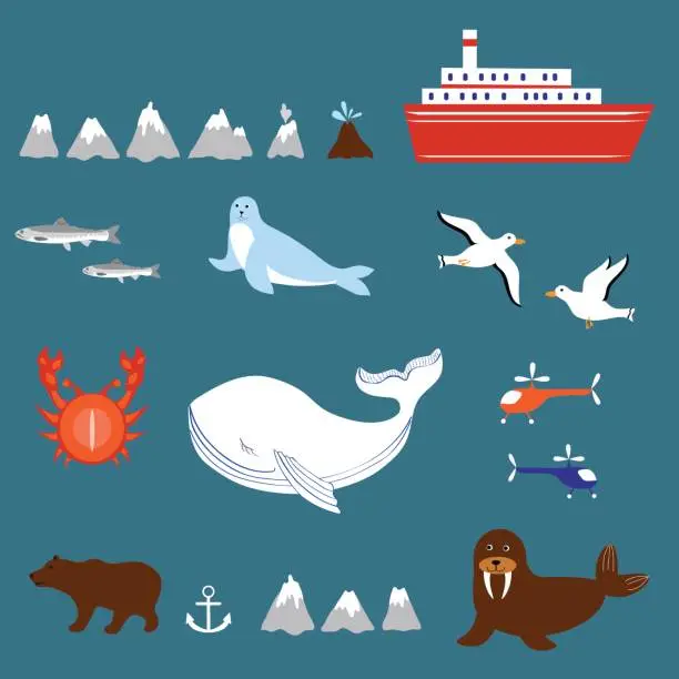 Vector illustration of Marine set seagulls, salmon, whale, seal, walrus, ship, volcano, geyser, helicopter, crab isolated on white background, decorative vector sea colorful elements for design advertising, greeting cards