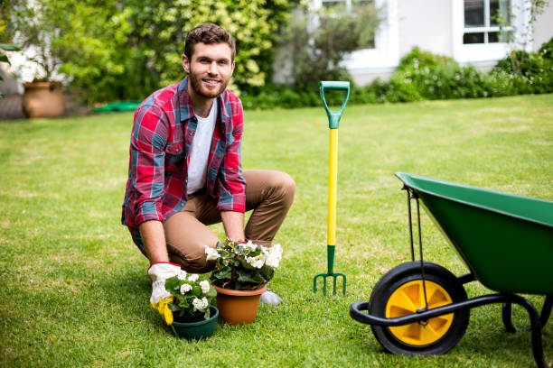 istock Smiling man woking in yard 667134924