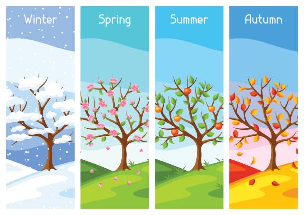 ilustraciones, imágenes clip art, dibujos animados e iconos de stock de cuatro estaciones del año. ilustración del árbol y el paisaje en primavera, verano, invierno, otoño - four seasons cloud autumn plant