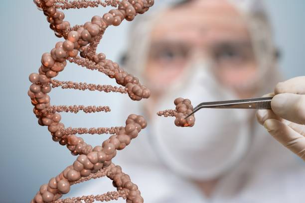 istock Scientist is replacing part of a DNA molecule. Genetic engineering and gene manipulation concept. 667138644