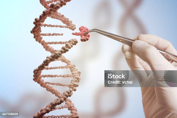 Genetic Engineering And Gene Manipulation Concept Hand Is Replacing Part Of A Dna Molecule Stock Photo - Download Image Now