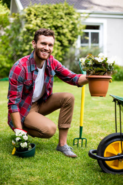 istock Happy gardener holding potted plants in yard 667139300