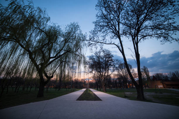 istock sunset in city park 667144732