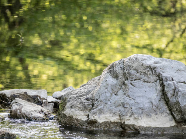 istock Water stream landscape view in deep beautiful  forest with stone 667159216