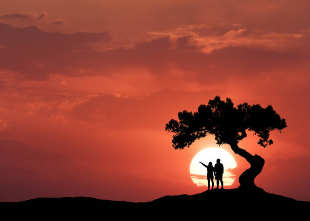 People under the crooked tree on the background of sun. Silhouette of a standing couple on the mountain, tree and colorful red sky with clouds at sunset. Beautiful landscape in the evening. Travel