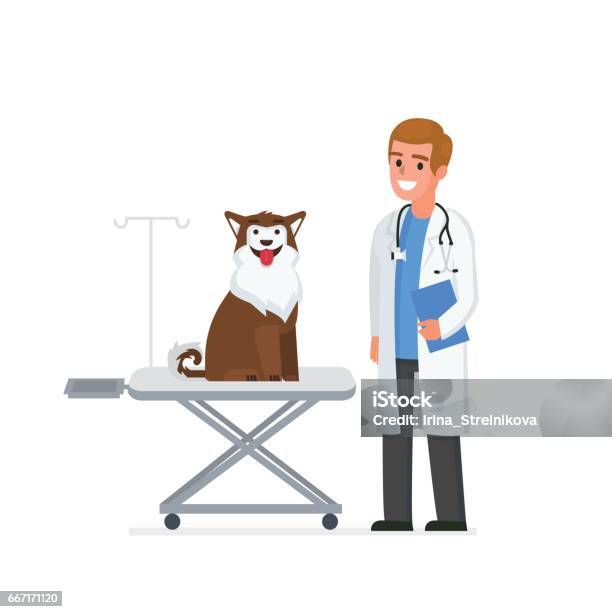 Veterinarian Stock Illustration - Download Image Now - Veterinarian, Animal  Hospital, Dog - iStock