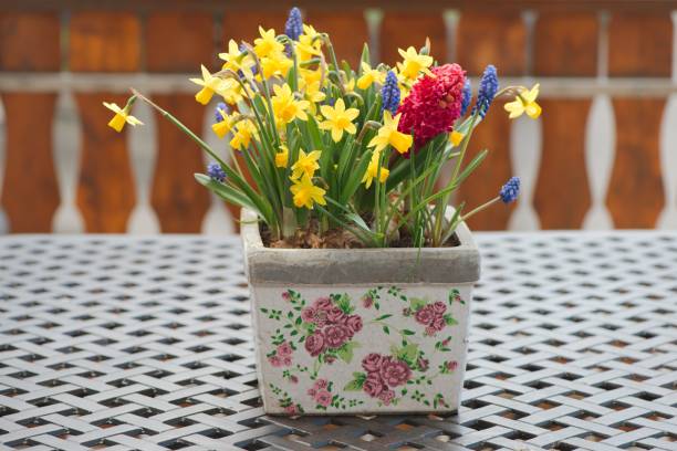 A floor-standing white vase with blooming marigolds planted in it stands near the steps of a wooden porch in a country house.