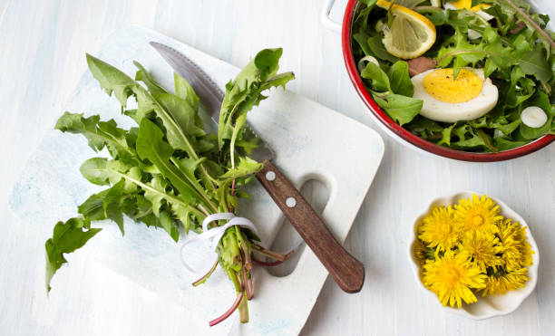 Healthy dandelion on vintage wooden background