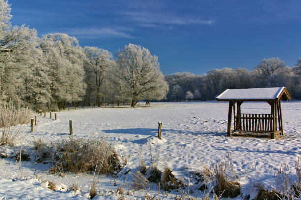 Snow-covered field with fodder rack and treeline in the background