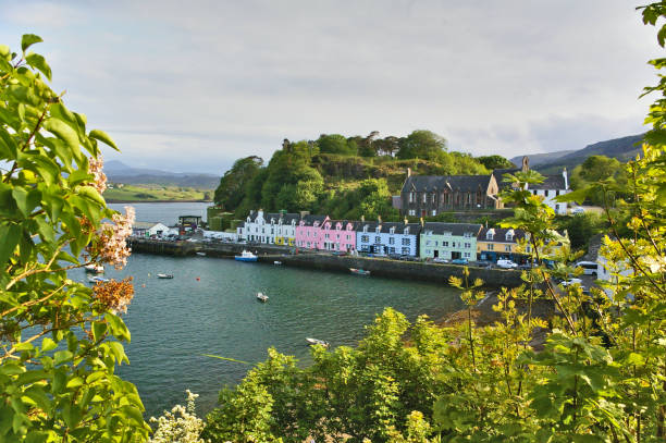 istock Harbour with pier, boats and colourful buildings framed by trees 667184004