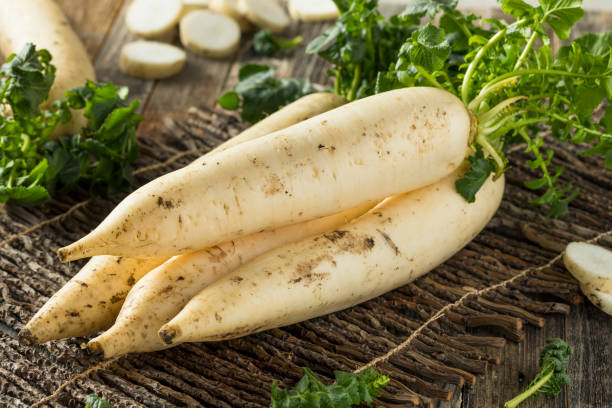 Raw Organic White Daikon Raw Organic White Daikon with Green Leaves turnip stock pictures, royalty-free photos & images