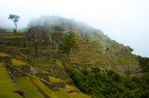 Machu Picchu, Peru: Green Terraces, Ruins, Fog