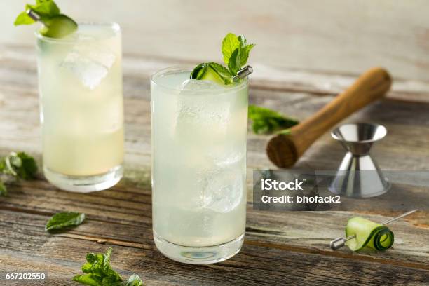 Refreshing Cucumber Gin Spritz Cocktail Stock Photo - Download Image Now - Cocktail, Mint Leaf - Culinary, Cucumber