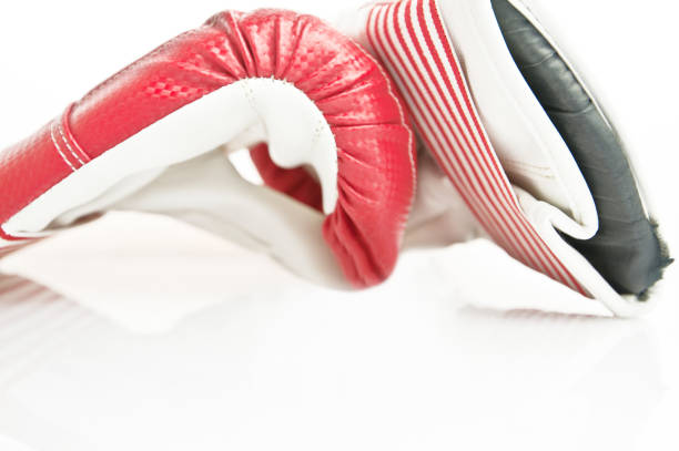 istock Pair of Boxing Gloves 667202716