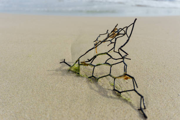 part of fish net on beach