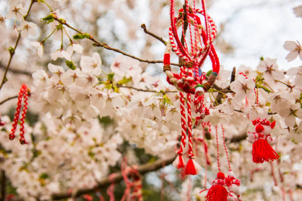 istock Red oriental ornamentals on a blooming cherry tree 667210372