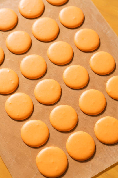 istock Row of macaroons on paper baking sheet 667229396