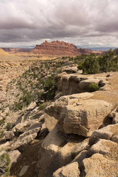 gewitterwolken über wüste canyon san rafael swell colorado plateau utah - san rafael swell stock-fotos und bilder