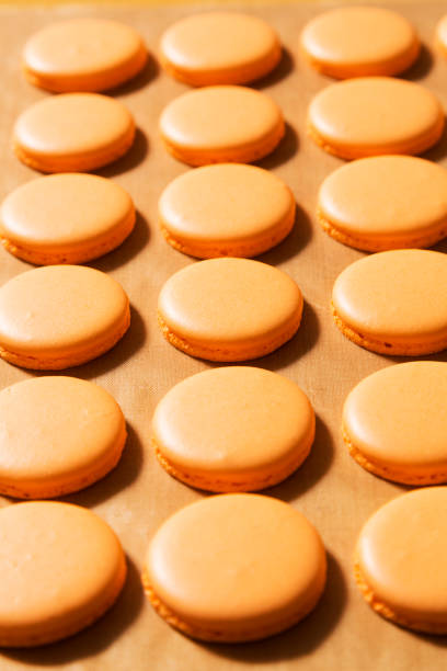 istock Row of macaroons on paper baking sheet 667229554