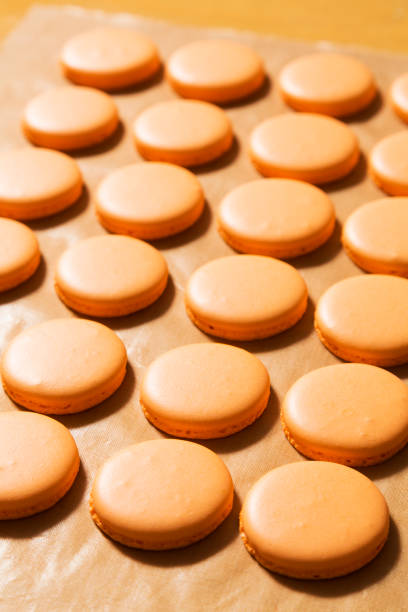 istock Row of macaroons on paper baking sheet 667229592