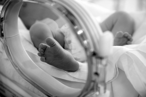 Pies de bebé recién nacido en incubadora photo