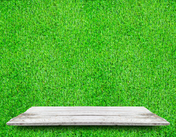 istock Soft white wooden shelves with fresh green grass background 667242218