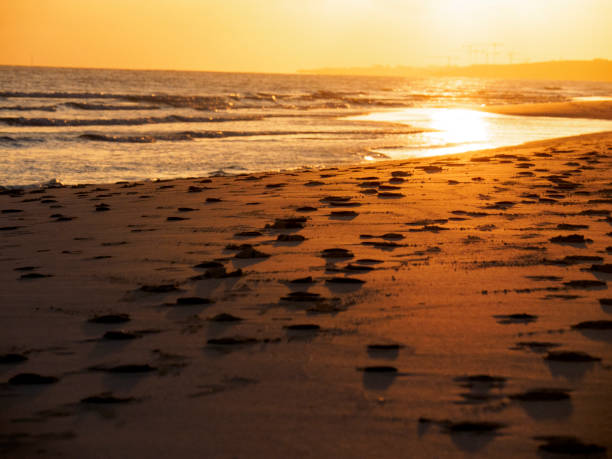 istock On a beach in Cayo Santa Maria 667245096