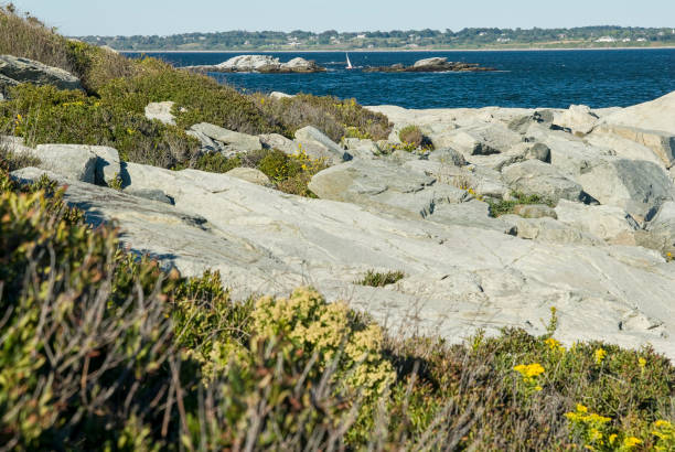 Rocky shoreline at Sachuest Point Rocky shoreline at Sachuest Point on Sakonnet River national wildlife reserve stock pictures, royalty-free photos & images