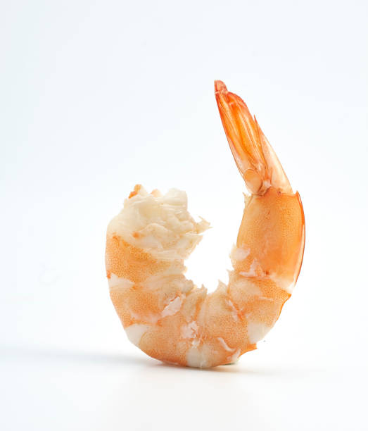 istock Tiger shrimp. Prawn isolated on a white background 667248596