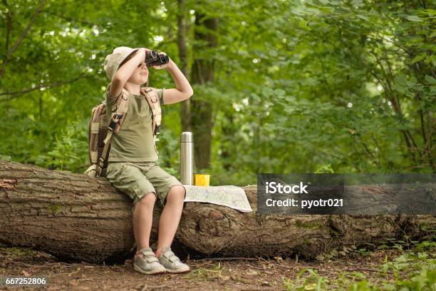 Girl Looking At Birds Through Binoculars Camping In The Woods Stock Photo - Download Image Now