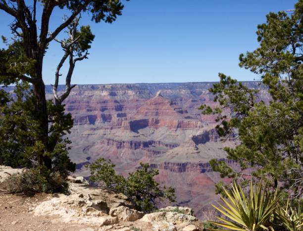 istock Classic View Of The Grand Canyon 667270392