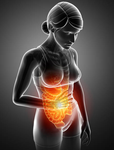 Women Feeling the Stomachache 3d Illustration of Women Feeling the Stomachache stomach aches stock illustrations