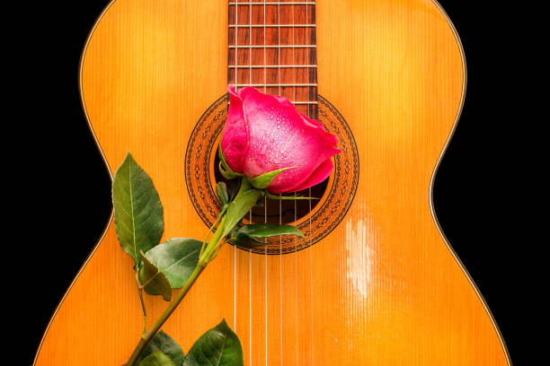 istock One rose on the old guitar 667277432