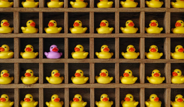 istock Many yellow rubber ducks in pigeon hole compartments with one different purple duck. 667285444