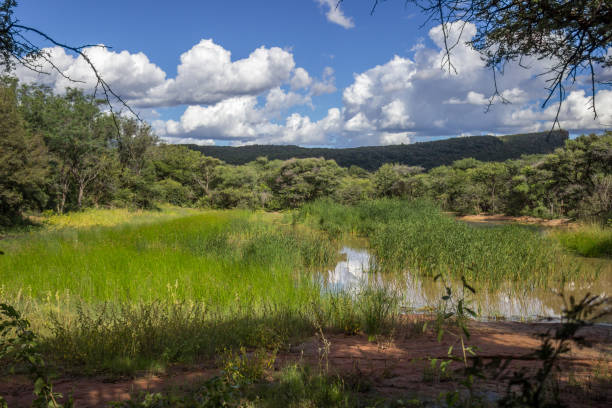 landscape photo over a pond