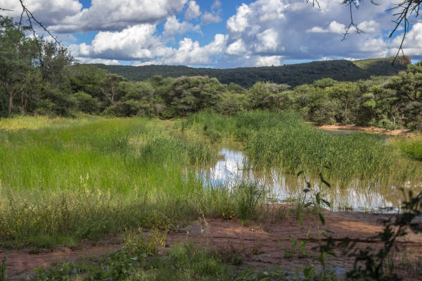 istock landscape photo over a pond 667285920