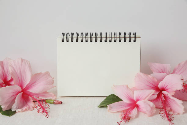 istock notebook with Pink Hibiscus flowers on linen, copy space background, selective focus, vintage tone 667289132