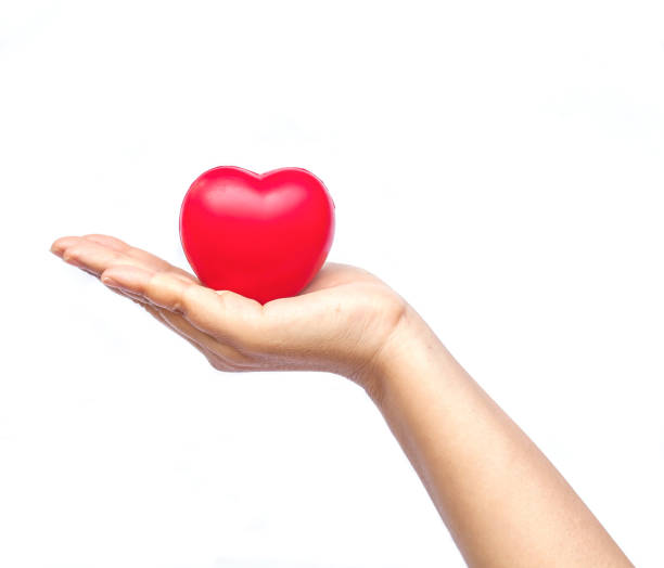 istock hand holding a red heart on white background 667291886