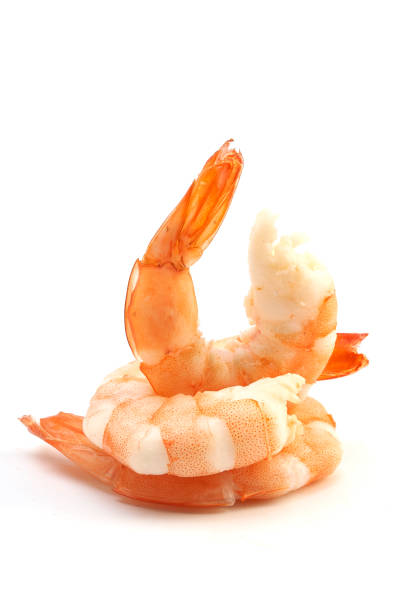 istock Tiger shrimp. Prawn isolated on a white background 667293094