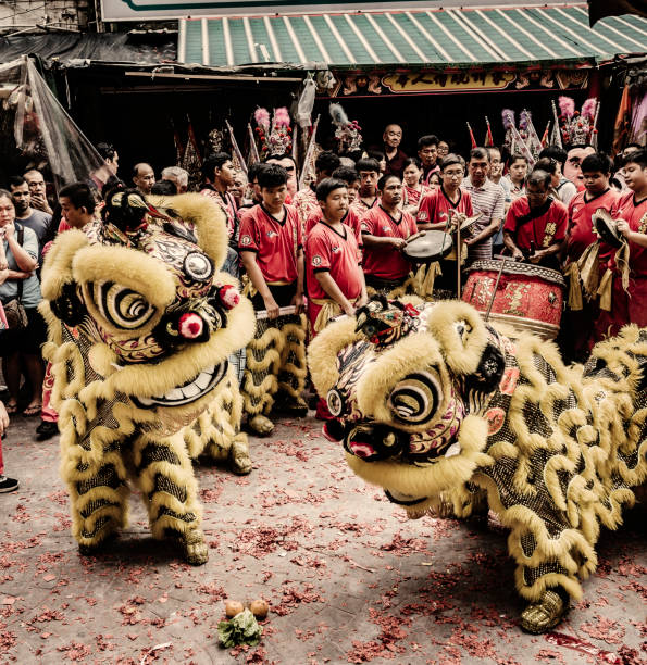 A troupe of lion dancers is performing in Petaling street among people during the Chinese New Year celebrations in Kuala Lumpur. During this festivity groups of Lion dancers perform  in front of business and shops for a monetary reward. It brings good luck to the owners of the business.