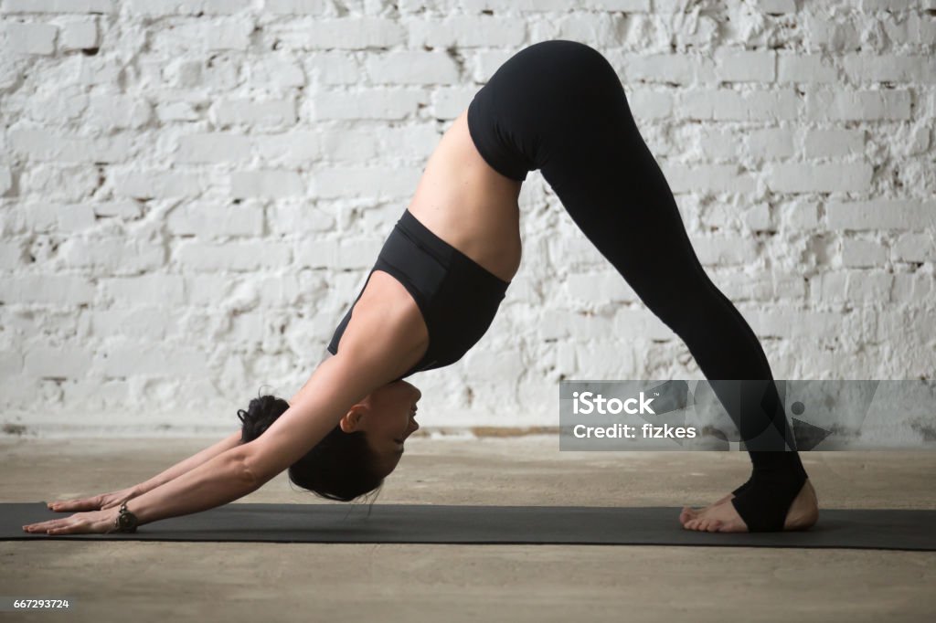 Young attractive woman in Downward facing dog pose, loft background Young yogi attractive woman practicing yoga concept, standing in Downward facing dog exercise, adho mukha svanasana pose, working out, wearing black sportswear, full length, white loft background Downward Facing Dog Position Stock Photo