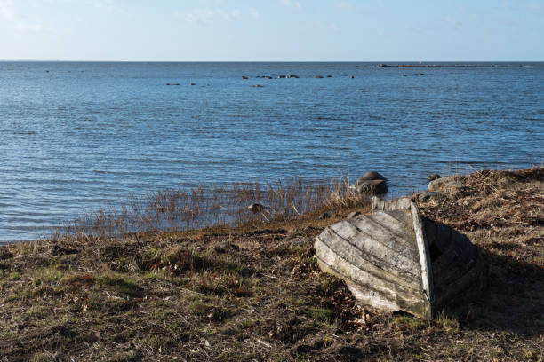 istock Abandoned rowboat by the coast 667296238